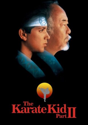 The Karate Kid Part II 1986 Dual Audio Hindi-English 480p 720p 1080p