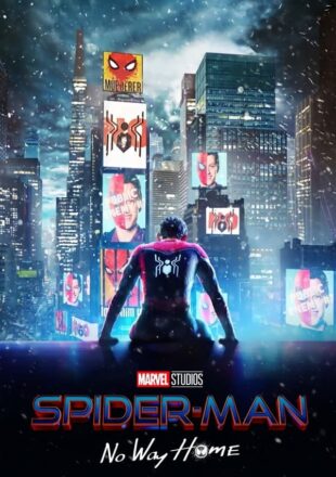 Spider-Man: No Way Home (Extended Version) 2019 Dual Audio Hindi-English