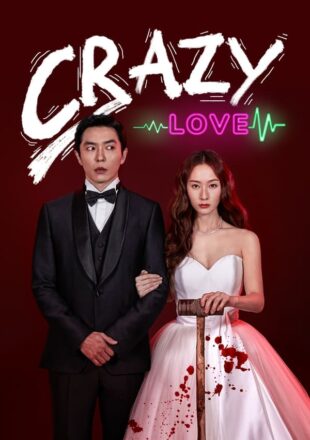 Crazy Love Season 1 Dual Audio Hindi-Korean 480p 720p 1080p