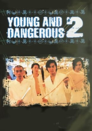 Young and Dangerous 2 1996 Dual Audio Hindi-Chinese