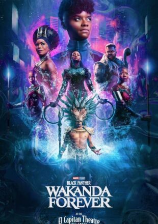 Black Panther: Wakanda Forever 2022 Dual Audio Hindi-English 480p 720p 1080p 4K