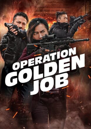 Golden Job 2018 Dual Audio Hindi-Chinese 480p 720p 1080p