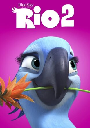 Rio 2 2014 Dual Audio Hindi-English 480p 720p 1080p