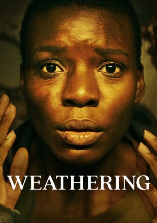 Weathering 2023 English With Subtitle 480p 720p 1080p