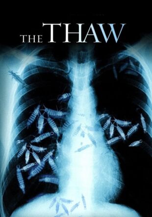 The Thaw 2009 Dual Audio Hindi-English 480p 720p 1080p