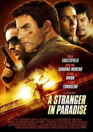 A Stranger in Paradise 2013 Dual Audio 480p 720p 1080p