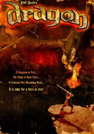 Dragon 2011 Dual Audio Hindi-Chinese 480p 720p 1080p