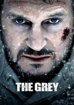 The Grey 2011 Dual Audio Hindi-English 480p 720p 1080p