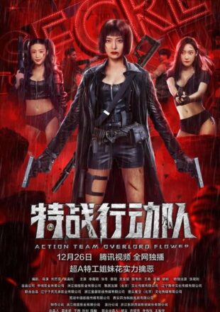 Action Team Overlord Flower 2022 Dual Audio Hindi-Chinese 480p 720p 1080p