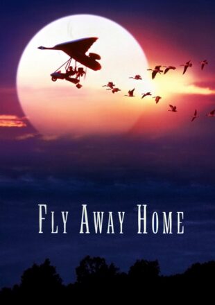 Fly Away Home 1996 Dual Audio Hindi-English 480p 720p 1080p