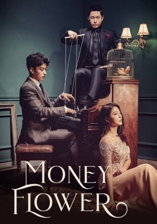 Money Flower Season 1 Hindi Dubbed 720p 1080p All Episode