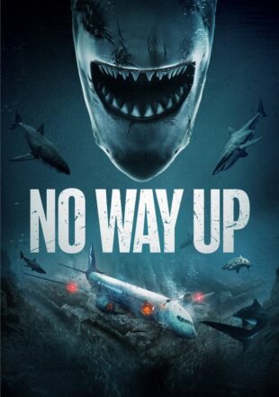 No Way Up 2024 English With Subtitle 480p 720p 1080p