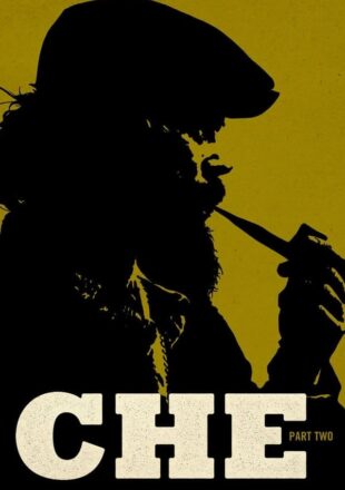 Che: Part Two 2009 Dual Audio Spanish-English 480p 720p 1080p