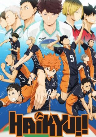 Haikyuu!! Season 1 Dual Audio Hindi-Japanese 480p 720p 1080p All Episode