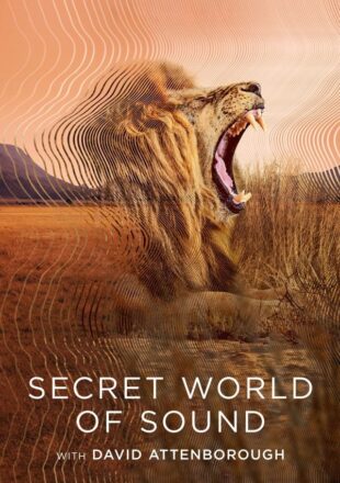 Secret World of Sound with David Attenborough Season 1 Dual Audio Hindi-English 720p 1080p All Episode