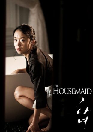 The Housemaid 2010 Dual Audio Hindi-Korean 480p 720p 1080p