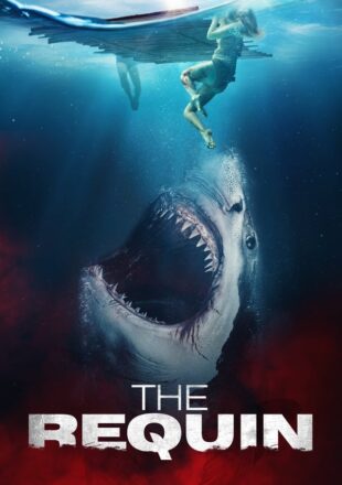 The Requin 2022 Dual Audio Hindi-English 480p 720o 1080p