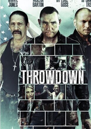 Throwdown 2014 Dual Audio Hindi-English 480p 720p 1080p