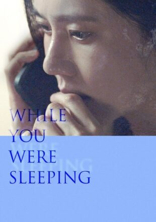 While You Were Sleeping 2024 Korean With Subtitle 480p 720p 1080p