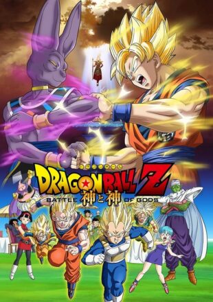 Dragon Ball Z: Battle of Gods 2013 Multi Audio Hindi-English-Japanese 480p 720p 1080p