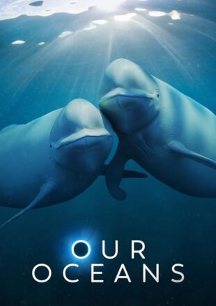 Our Oceans Season 1 Dual Audio Hindi-English 720p 1080p All Episode